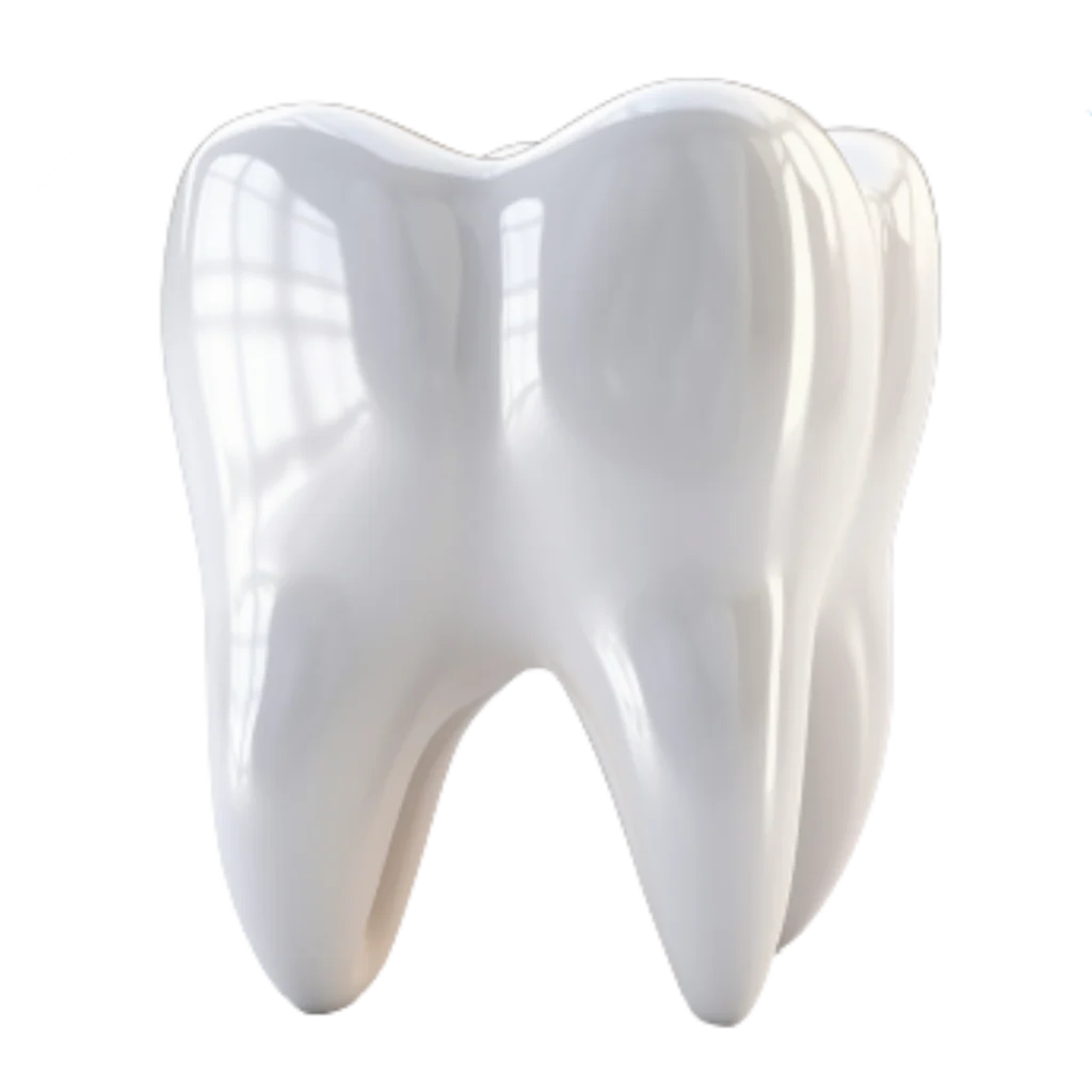 Tooth Anatomy Diagnosis Model
